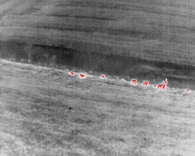 Drone Deer Surveys